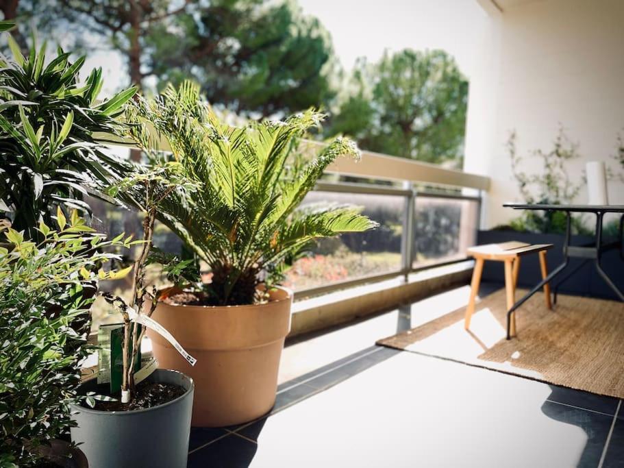 Design 110M2 2Br Terrace & Parking Near Center Aix-en-Provence Exterior foto